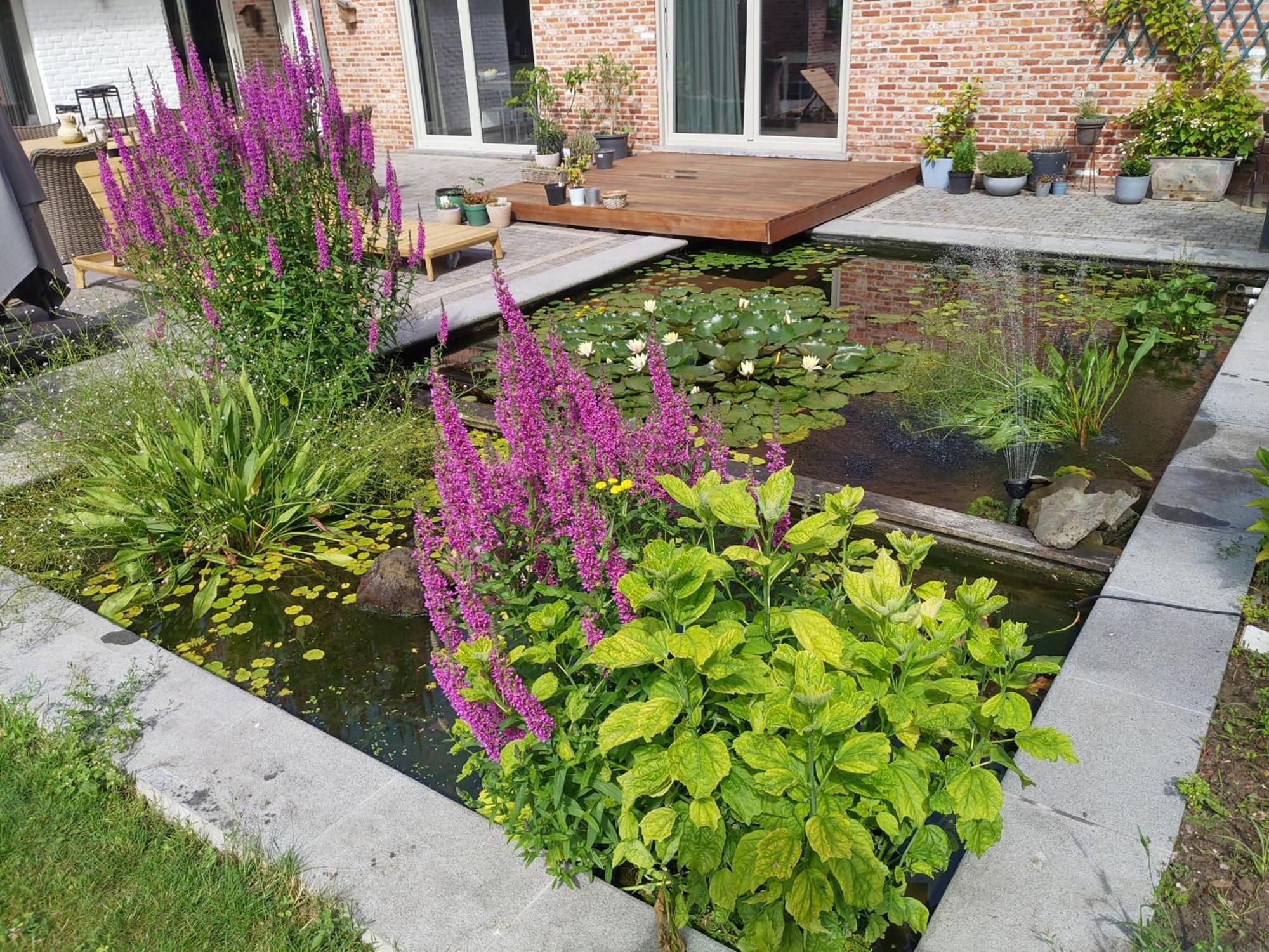 The Two Oaks - Private Garden For Guests Vila Hertsberge Exterior foto