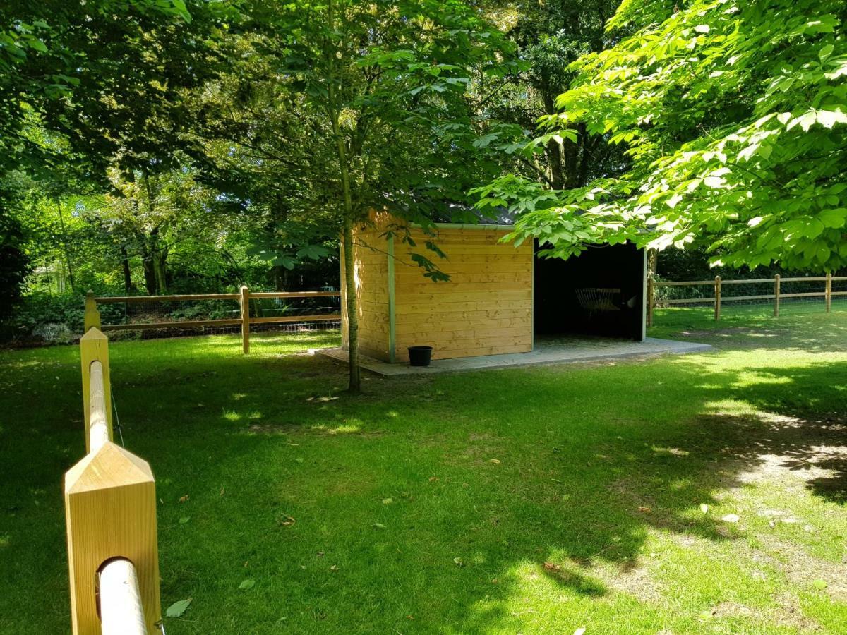 The Two Oaks - Private Garden For Guests Vila Hertsberge Exterior foto