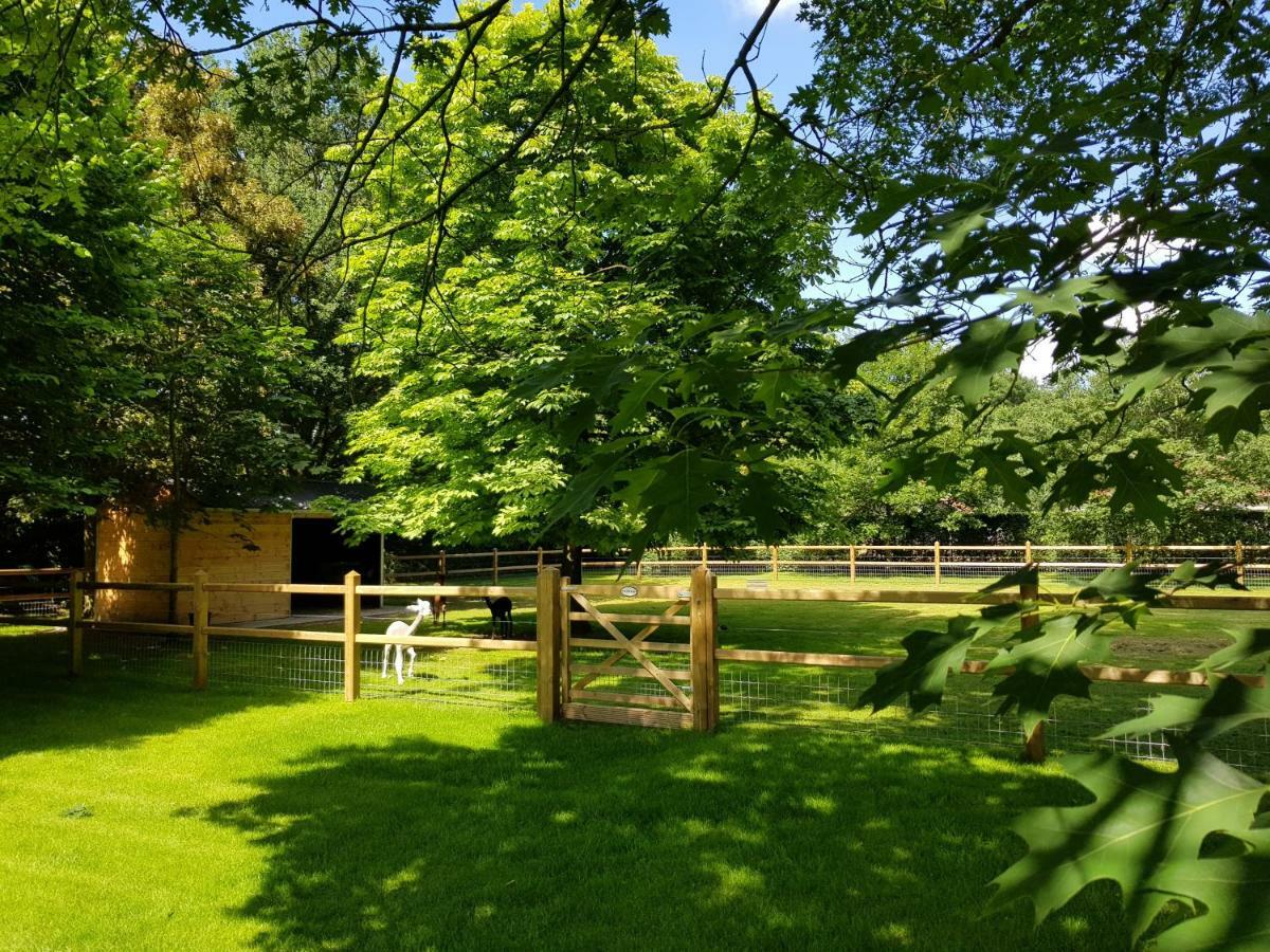 The Two Oaks - Private Garden For Guests Vila Hertsberge Exterior foto