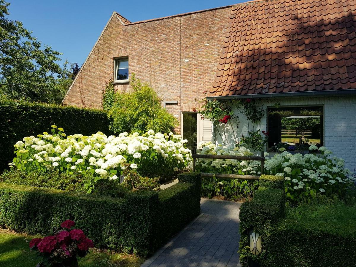 The Two Oaks - Private Garden For Guests Vila Hertsberge Exterior foto