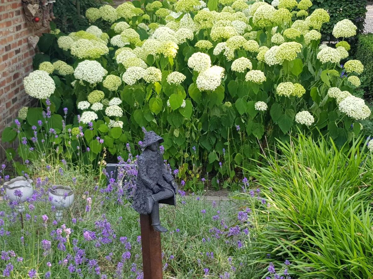 The Two Oaks - Private Garden For Guests Vila Hertsberge Exterior foto